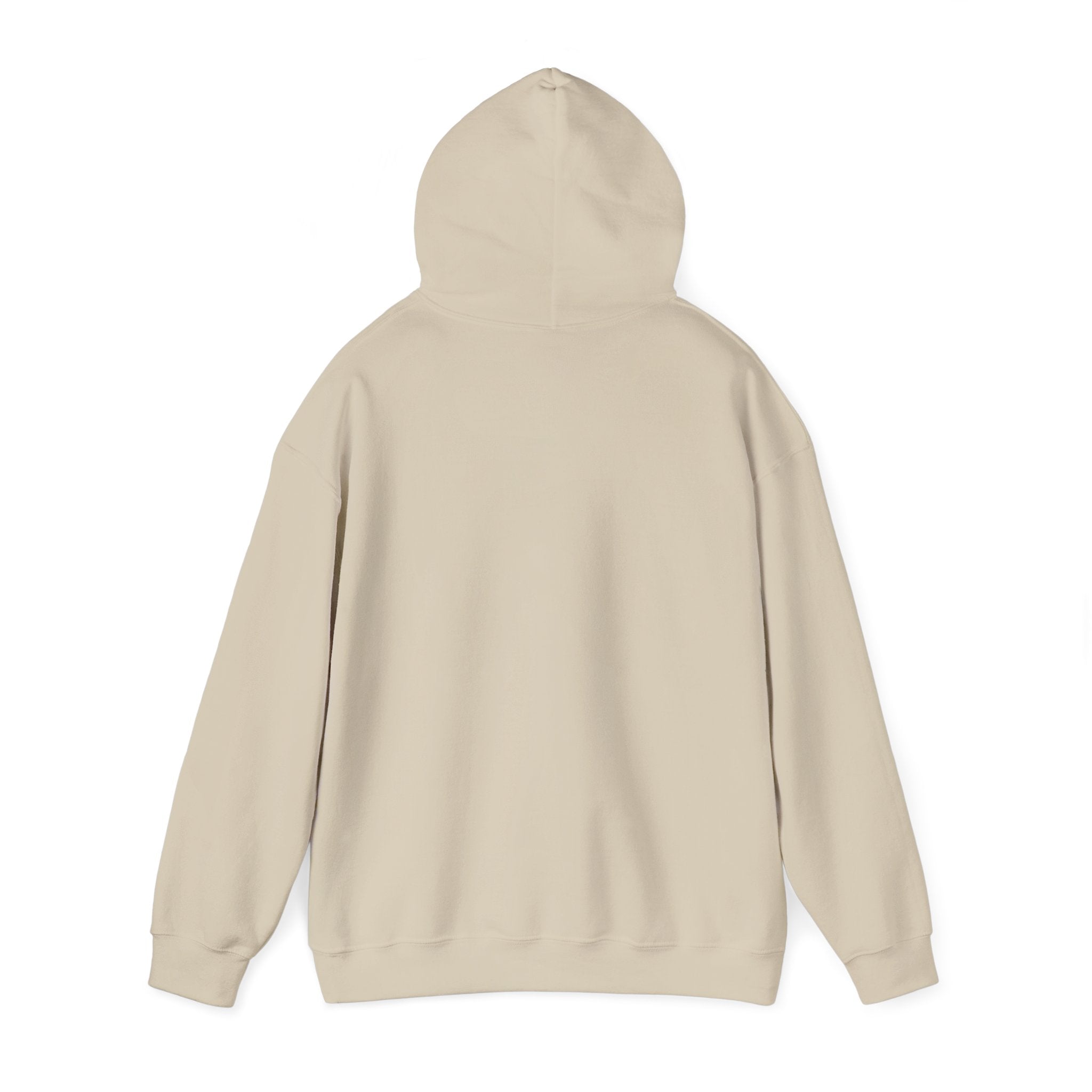 Vintage Pullover Hoodie (Unisex) - Jack's 78s Collection